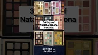 How My 30 Days of Natasha Denona Palettes Project is Going..