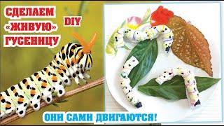 Мастер-класс «Живые гусеницы из салфетки» / TRACKED LIVING | Diy with children