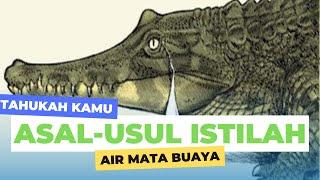 Tahukah kamu?? Asal-usul istilah air mata buaya?