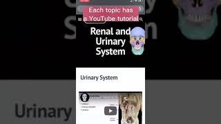 Anatomy Resources you NEED #shorts