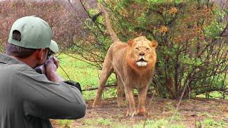 The challenges of hunting the largest and strongest predators  The hunter VS the impossible