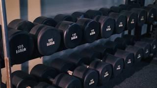 Elite Performance Institute