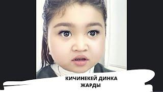 Динка кичинекей кыздын ролун катырды