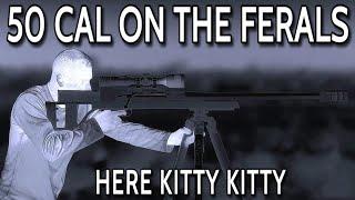 HUNTING WITH A 50 CAL BMG || SHOOTING PIGS & FERAL CATS