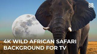 4K African Safari & Wild Sounds | 4K Wildlife Relaxing Film | Africa Animals ScreenSaver for 4K TV