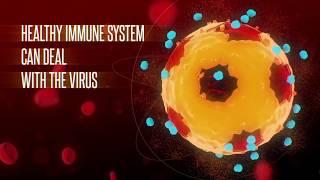 Coronavirus Threat Opener | Coronavirus Worldwide | Motion Graphic @OMERJGRAPHICS | OMER J STUDIO