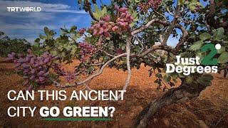 Just 2 Degrees: Can This Ancient City Go Green?