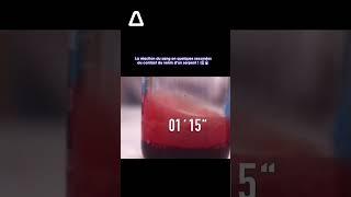 La réaction du sang en quelques secondes au contact du venin d’un serpent ! 