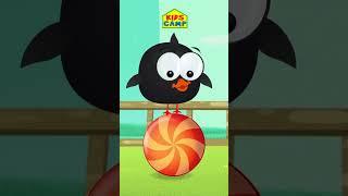  Funny Duck Playing #shorts #funnyshorts #ducks #kidsvideos