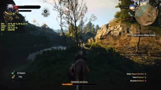 The witcher 3 (HD ultra setting)