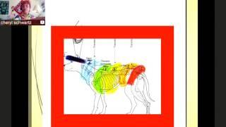 Holistic Energy Healing for Companion Animals with Cheryl Schwartz, DVM