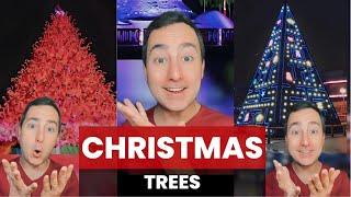 Amazing Christmas Trees | Taylor Nikolai