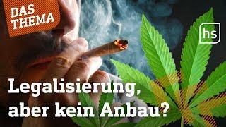 Bürokratie bremst Cannabis-Social-Clubs in Hessen | hessenschau DAS THEMA