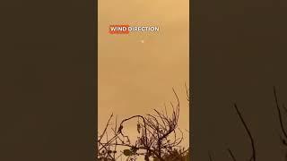 Wildfire activity in Lane County in Oregon. #wildfire #extremeweather