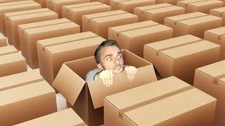 WHO HIDES IN A BOX? (What The Box)