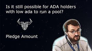 Pledge Discussion | Calculator Analysis | Will Whales Run Cardano Stake Pools?