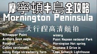 摩寧頓半島全攻略Mornington Peninsula (粵語）