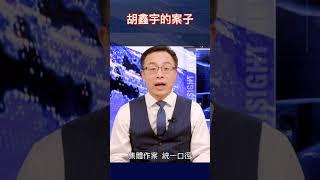 胡鑫宇的案子