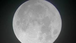 Celestron SCTW-80 / FULLMOON SEPTEMBER 2, 2020