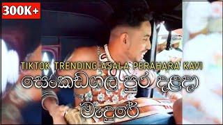 Senkada Gala Pura Dalada Madure (සෙංකඩගල පුර දළදා මැදුරේ) Tiktok Viral Dalada Asala perahara Kavi