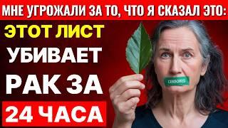 Лист, который УНИЧТОЖАЕТ РАК, и который врачи не хотят, чтобы вы знали – Фрэнк Суарес