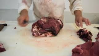 Cutting an Elk Hind Quarter