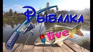 Рыбалка на поплавок.Fishing.Илим.Зеркальный карп.Удачный клёв.village.Из Асбеста@MineralAs