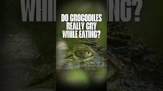 Crocodile Tears: Fact or Fiction? (The TRUTH Revealed!)