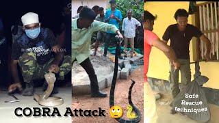 @mirzamdarif1 Cobra snake Bite 2022 | vava Suresh snake bite | Vava Suresh vs Ajay Giri