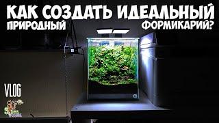 Как сделать идеальный формикарий для муравьев? ● 2 года моему природному формику ● Муравьиный VLOG