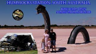 BUSH CAMP SOUTH AUSTRALIA HUMMOCKS STATION SNOWTOWN- PET FRIENDLY CAMPING