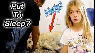 Dad Tells Kids The Dog Is Being Put To SLEEP!!