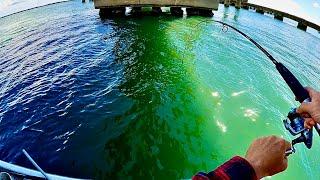 KICKER FISH - How About That!