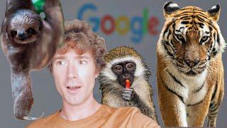 BUYING EXOTIC ANIMALS ONLINE | weekly vlog |  shop with me