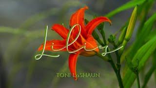 Lilies | Official Gospel Music Video by Toni LaShaun | Finding Peace in God’s Promise