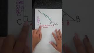 Grade 10 Maths Trigonometry: An introduction LIVE LESSON (grade 10 trig)