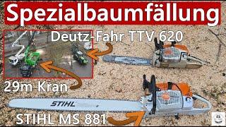 Spezialbaumfällung im Wohngebiet | STIHL MS 881 | 29m Kran | Deutz-Fahr TTV 620 | Lehmann GmbH