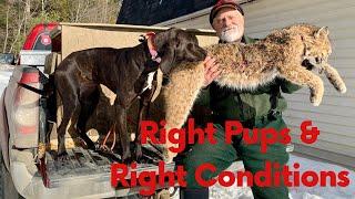 The Right Pups and the Right Conditions...