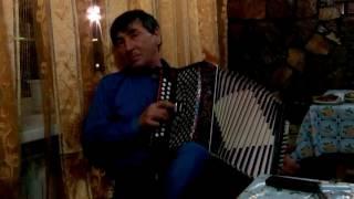 lambada accordion (Ламбада на гармошке)