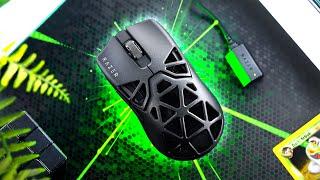 NEW Razer Viper Mini Signature Edition Review!