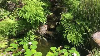 Christiansen-Arner landscape with pond and waterfall