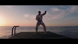 Сенсэй на берегу моря показывает мастерство каратэ Шотокан. Shotokan karate #liakhovprod