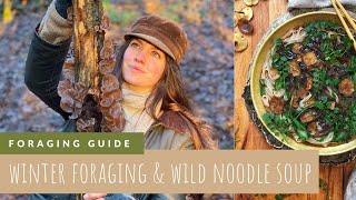 Foraging in Winter | Wild Noodle Soup With Medicinal Mushrooms