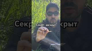 Секреты от Чемпионов Мира по рыбной ловле #fishing #рыбалка #спінінг #братьябилан #спиннинг