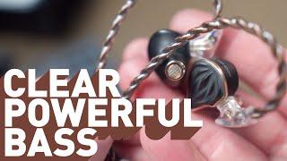 The best bass I've heard in an IEM | Hidizs MS3 Review