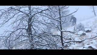 Silvia - Winter trails with Matt Hunter