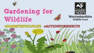 Wildlife Gardening Investigators - helping wildlife in your garden