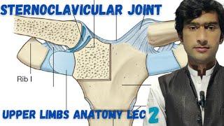 Sternoclavicular joint anatomy. by zawar yousafzai . by medexplora #2