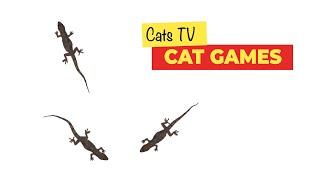 CAT GAMES - Lizard Creeps and Glides Fast Lizards for Cats to Watch - 3 HOURS