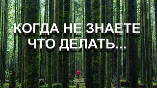 КОГДА НЕ ЗНАЕТЕ ЧТО ДЕЛАТЬ [Э. Толле, озв. Никошо]